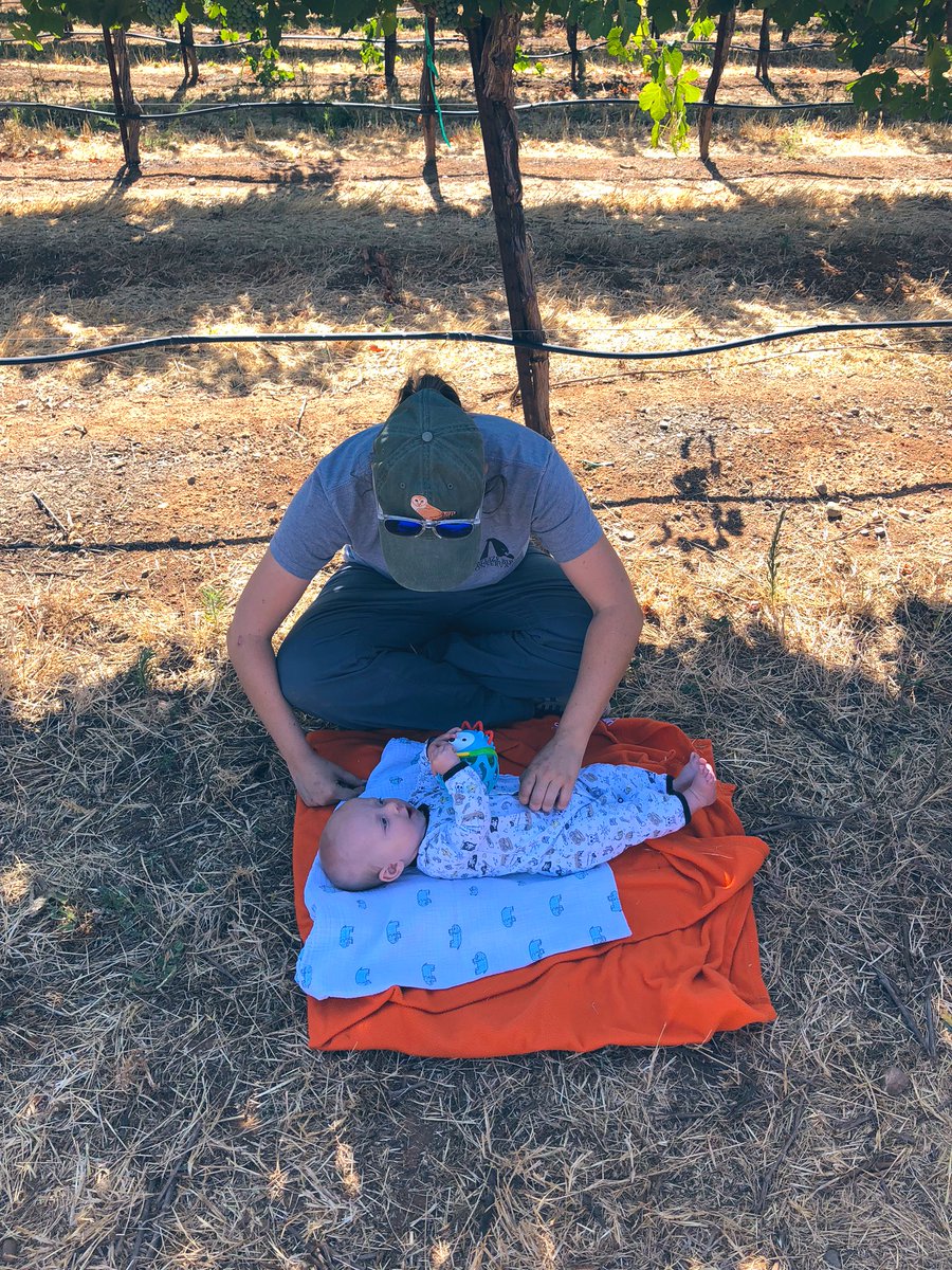 wildfarms's tweet photo. Happy Mother’s Day to all the #ScienceMamas out there!
And a big shoutout to all the #ScienceAunties and (uncles too!) #ItTakesAVillage https://t.co/BxIrBpND3Z