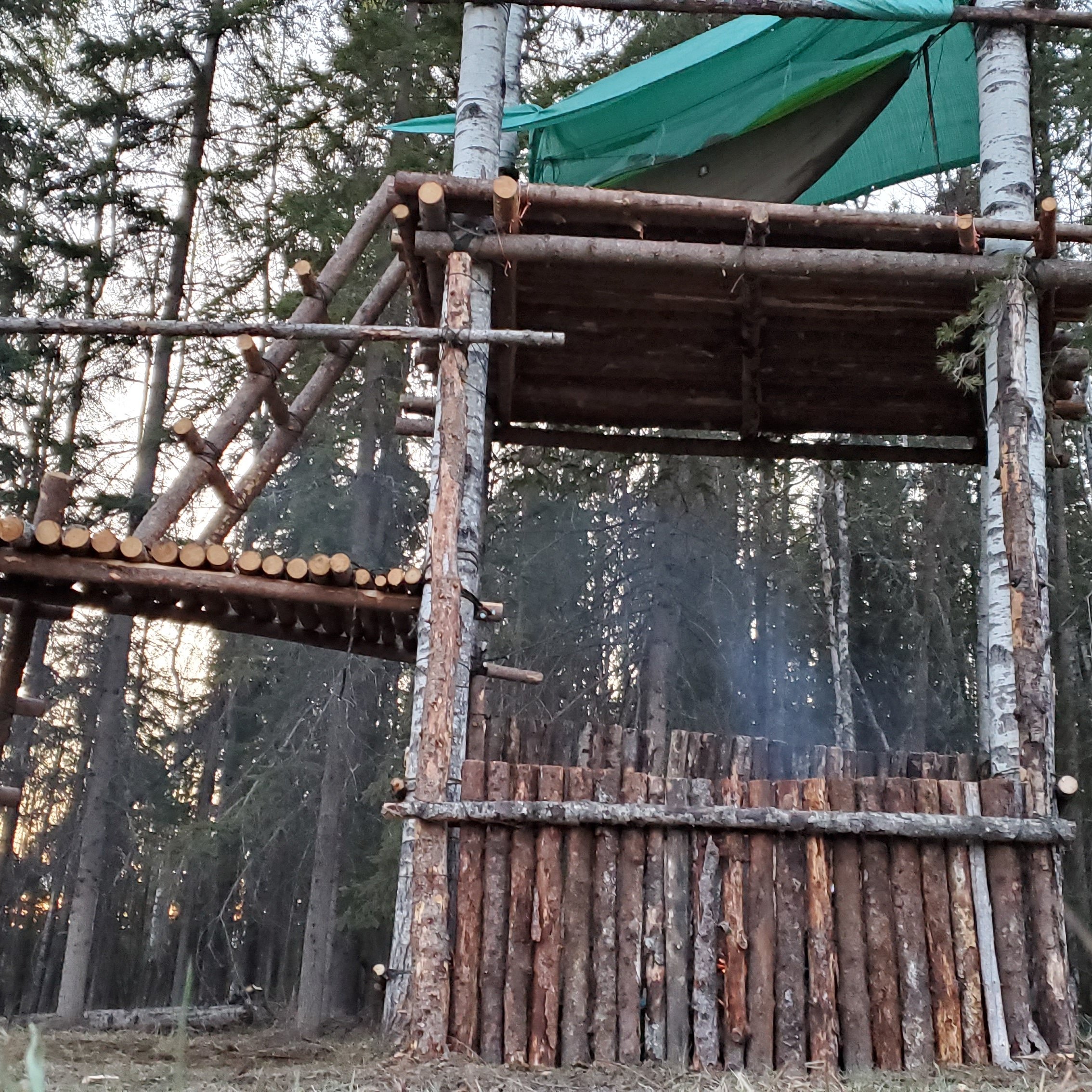 A Family Outdoors on X: Bushcraft treehouse project coming along