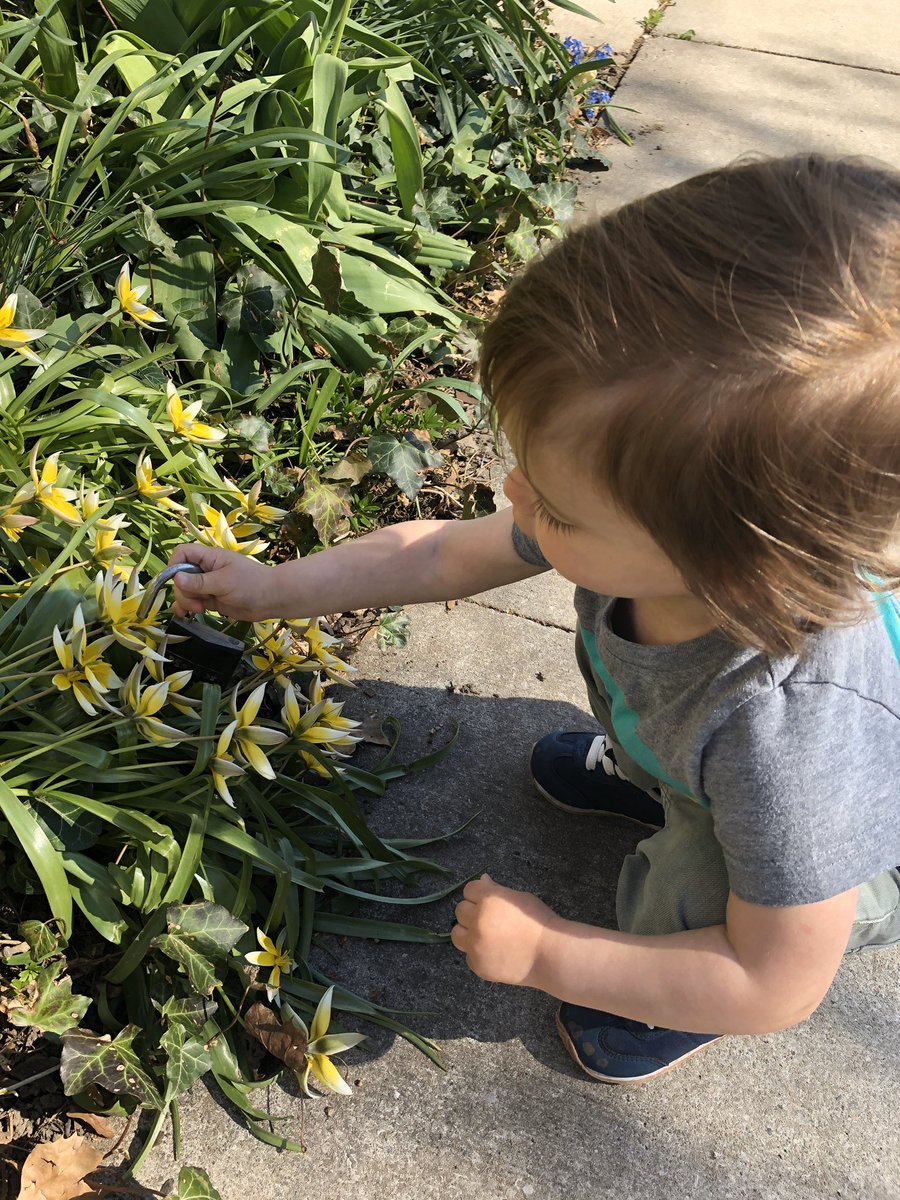Observing a toddler is like watching someone try to solve an obtuse puzzle in an old Sierra adventure game. “Uh, I dunno... use lock on flower?!!!”