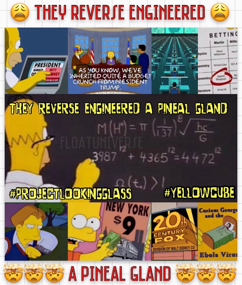 FloatUniverse's tweet photo. THEY REVERSE ENGINEERED A PINEAL GLAND #ProjectLookingGlass #timetravel #yellowcube #TheSimpsons #qanon #WWG1WGA #pinealgland https://t.co/Hb6Ky8Y08B