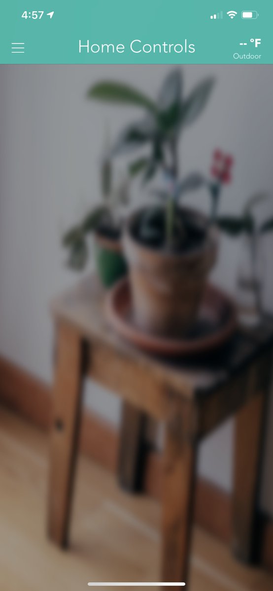 Substitute for Missing Bobik tweet media