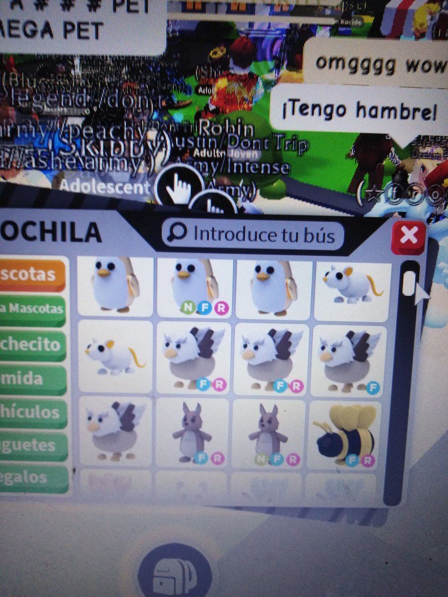xFranGame1's tweet photo. Offers? #adoptmetrades #adoptmetrade #adoptmetrading #adoptmefan #adoptme https://t.co/lmHDnYubIF