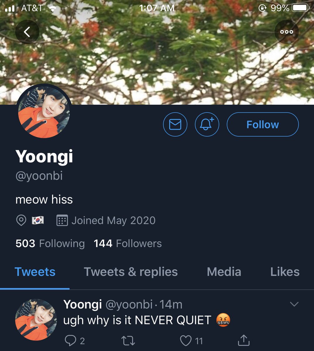 Yoon’s profiles (I revamped his ASMR one)