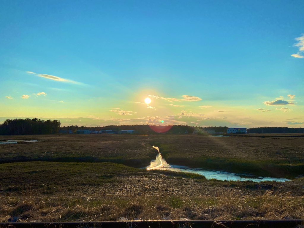PrettyInCamo11's tweet photo. #sunset #walks ☀️💕 https://t.co/0zpKrLYEtg