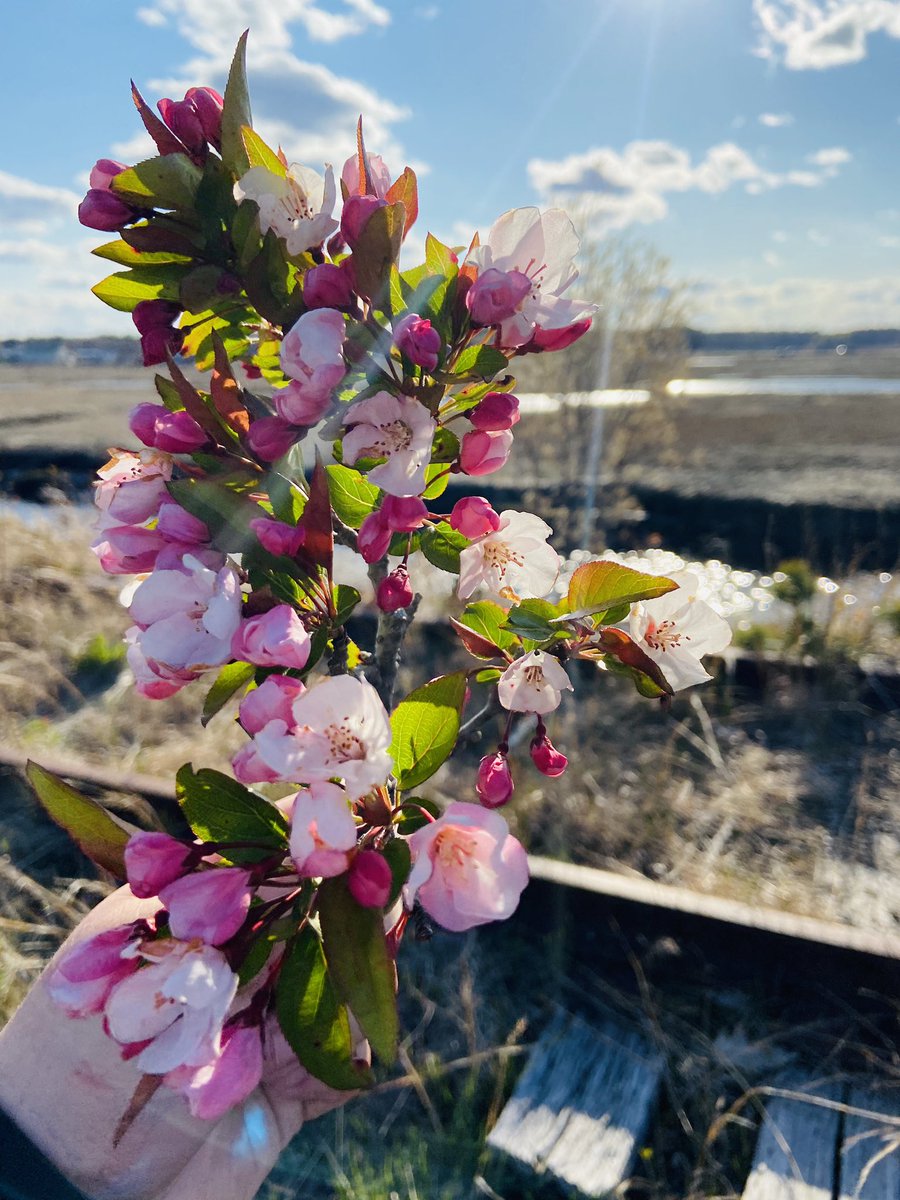 PrettyInCamo11's tweet photo. Something #pretty 🌸 https://t.co/gEKCn8rfs5