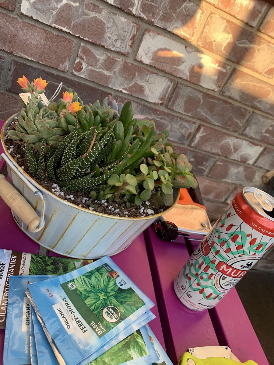 My daisies, another lavender plant, and a lil succulent garden I got on a whim at the grocery store. I’m not like a huge fan of succulents so I can’t really tell you too much about what kind they are and all that!