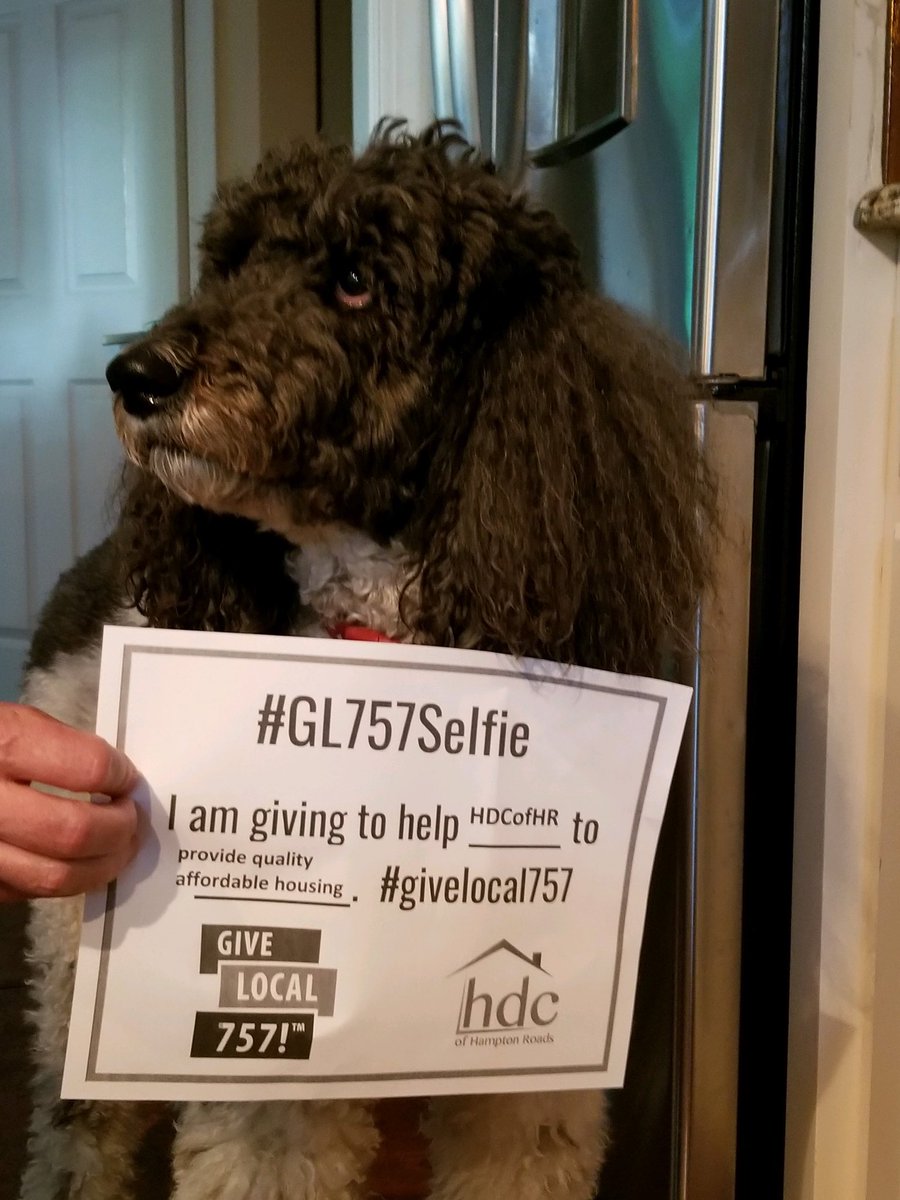 HDCofHR's tweet photo. Rudy says he loves his home! And his owners give locally to end homelessness right here in the 757!
#GL757Selfie #givelocal757 #Hdcofhr https://t.co/mKkIXPXwIP