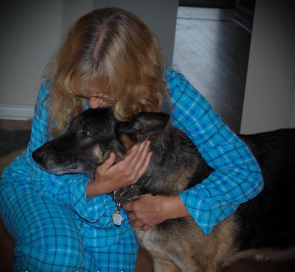 aid4paws's tweet photo. We help bring your best friend back home. ❤️ 🐾 🏡 🐕 #lostdog #backhomedog https://t.co/swb6LGuO9a