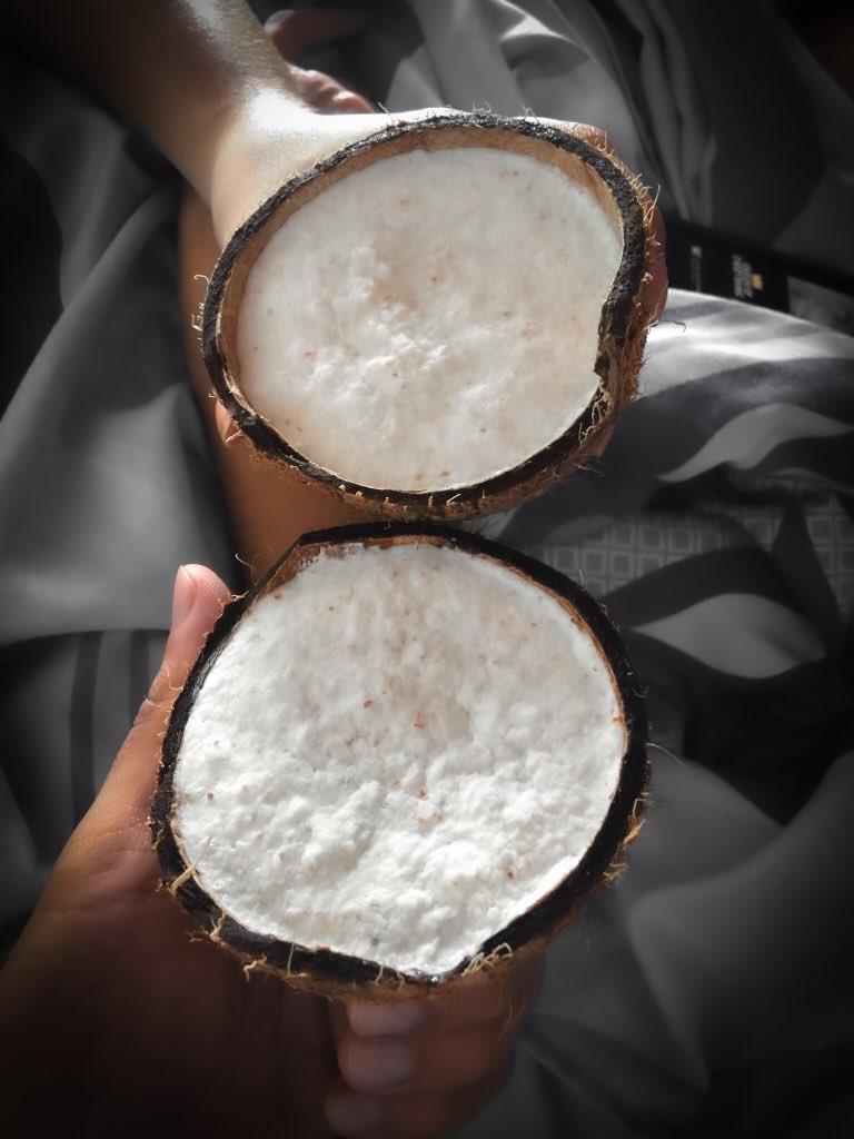 AliRecomienda's tweet photo. Hoy hicimos unos helados de cocos en su concha 🥥🍨 «pa la calor». 

Les dejo la receta para que les salga como el que vendían en las heladerías 👇 https://t.co/qum7gzPgr4
