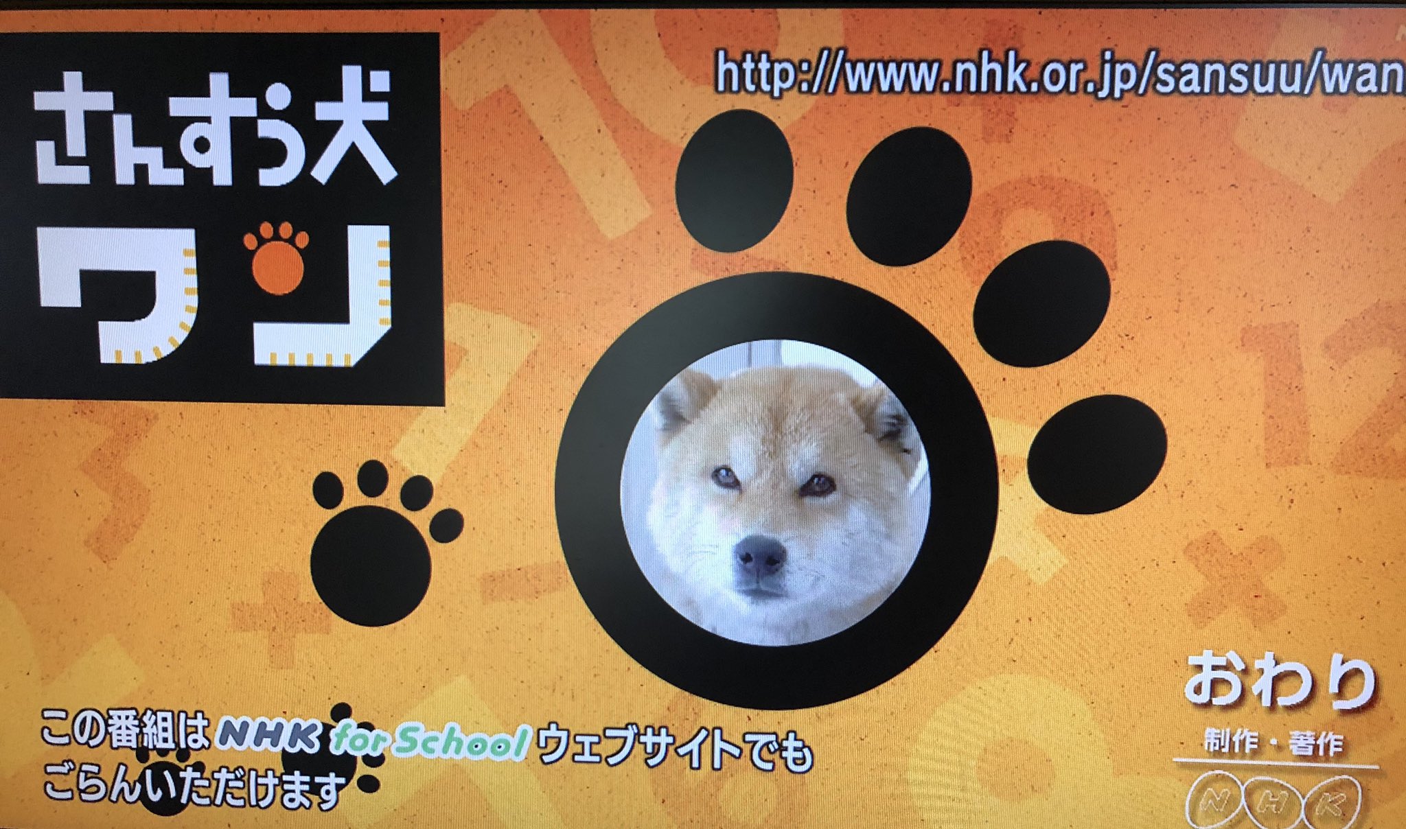 さんすう犬ワン Twitter Search Twitter