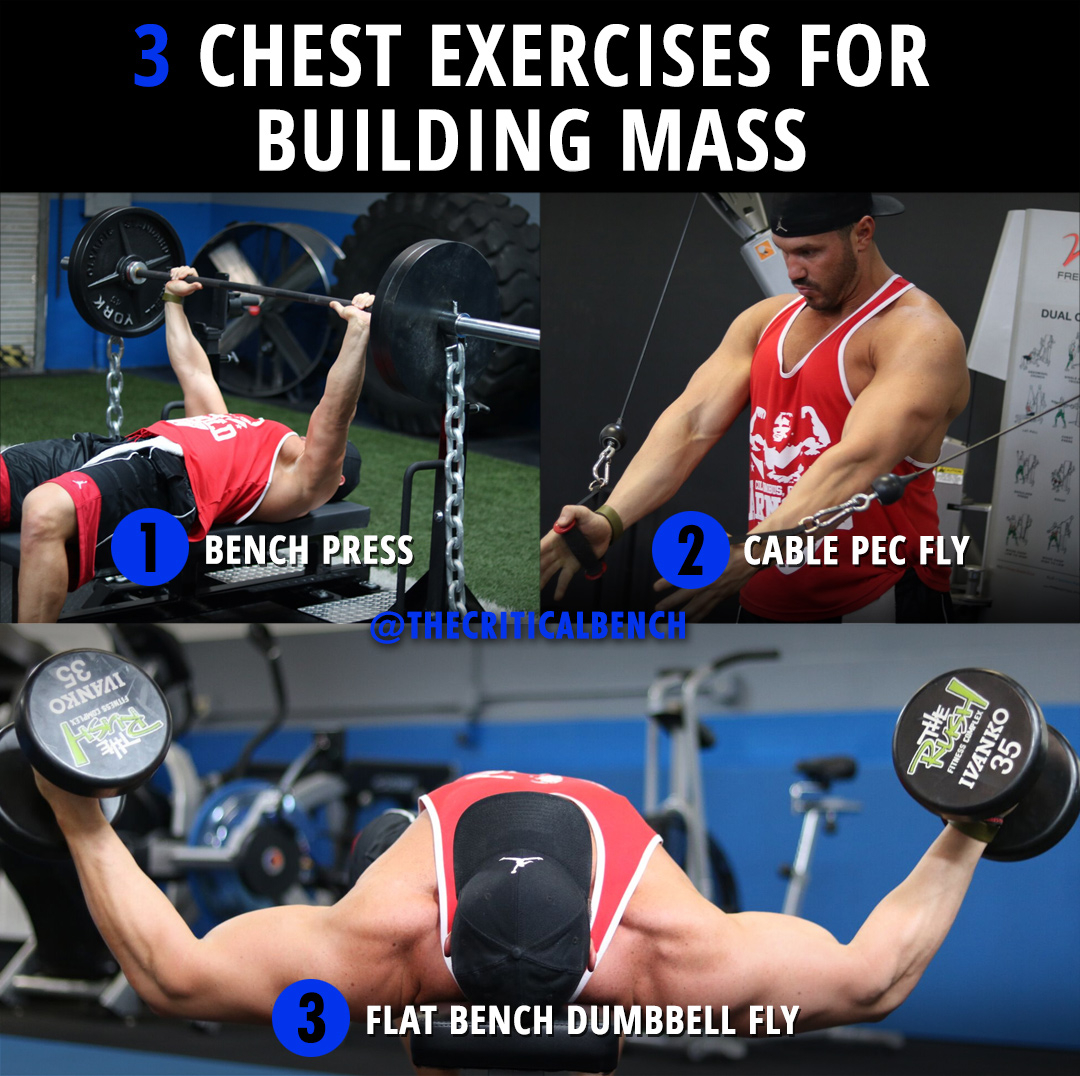 criticalbench's tweet photo. 3 Chest Exercises for BUILDING MASS!
Guys, don't miss these!
The Man Breast Solution
https://t.co/5oOiU3EJ6I
#strongchest #manbreastsolution #criticalbench #buildingmassworkout https://t.co/VH0xWPG33L