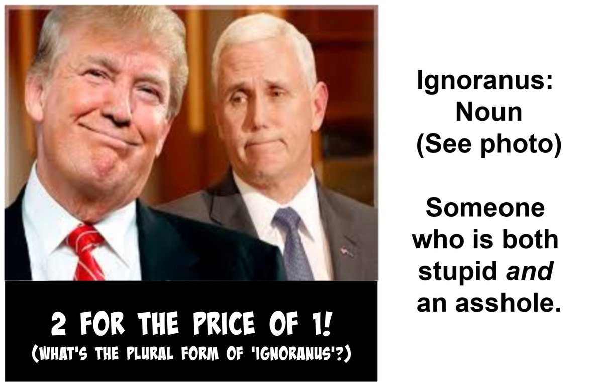 TeriMcGill's tweet photo. @TheUSASingers Was it worth it, Mikey??
#PenceIsAnIdiot #PenceUnmasked
#TooWhippedToBeVP
#TooWeirdToBeVP
#TooCreepyToBeVP
#TooWeakToBeVP
#TooWussyToBeVP
#TooStraightLacedToBeVP
#TooVanillaToBeVP
#TooDumbToBeVP
#TooWhiteBreadToBeVP
#TooSpinelessToBeVP
#TooIndecisiveToBeVP
#TooIrrelevantToBeVP https://t.co/Z7TrEfhwEZ