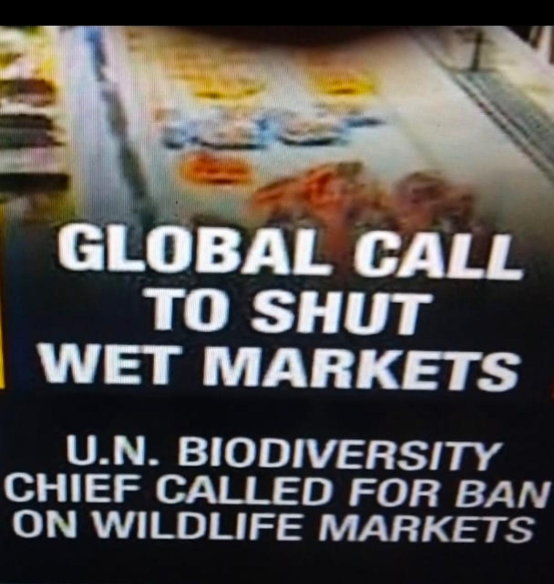 StopLiveExport tweet picture
