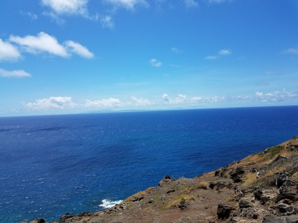 Read_Wasabi's tweet photo. Another beautiful day in paradise
#HappyMothersDay and we hope you are all doing well!
#Hawaii #Makapuu #Honolulu #IslandLife #thebeautyofhawaii #Wasabi #WasabiMagazine https://t.co/3ouazl73HZ