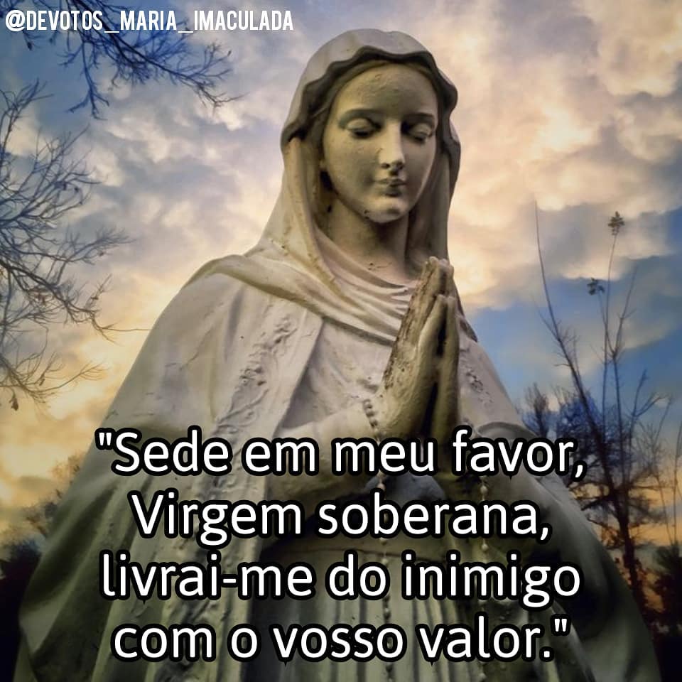 NSenhoraRosario's tweet photo. 🤗Boa Noite com a Proteção da Virgem Maria Santíssima ✝️💕🌹🌹
.
.
#salvemaria  #nossasenhora #imaculada #maria #totustuus #totustuusmariae #soutodoteu #avemaria #cheiadegraça #maededeuseminha #acasonaosabeis #soudaimaculada #filhademaria #consagrados
@NSenhoraRosario https://t.co/pgSZoacibe