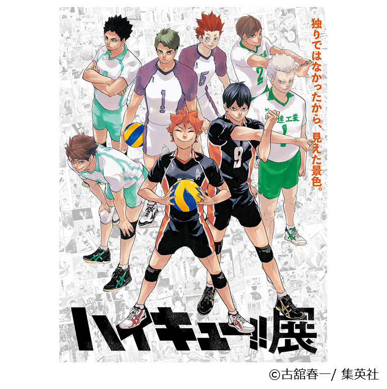Furudate-sensei's promotional sketch for the final Haikyuu volume