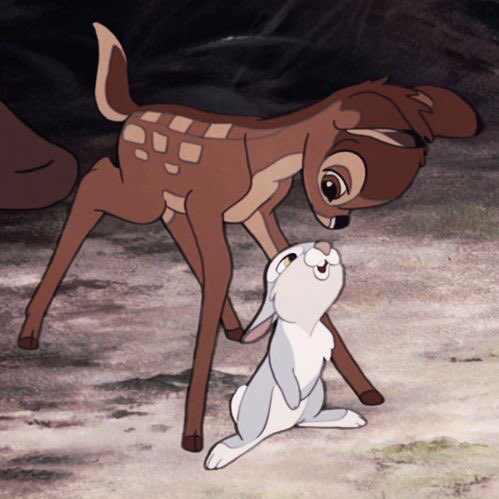 Taehyung and jungkook as thumper and bambi, a devastatingly cute thread  #taekook  #vkook
