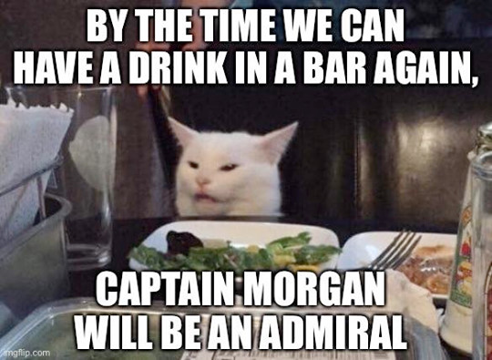 KiltOfDoom's tweet photo. Let's hope not #CaptainMorgan #QuarantineLife https://t.co/4gecqPmha1