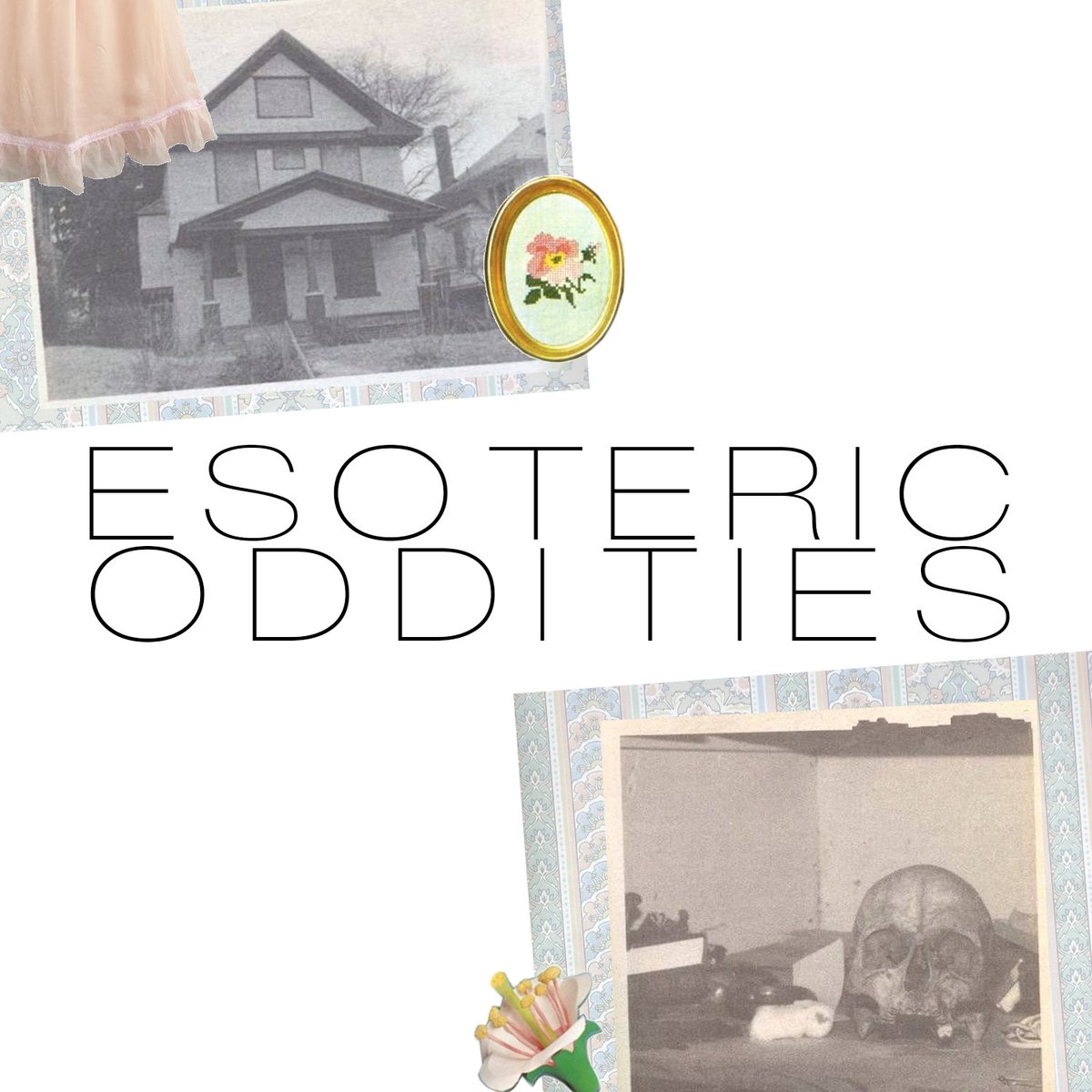 Esoteric Oddities tweet media