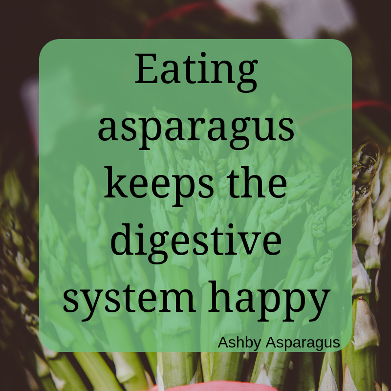 AshbyAsparagus's tweet photo. Asparagus is a really fibre-rich vegetable which promotes healthy digestion. Alongside this asparagus provides you with nutrients that can reduce your risk of high blood pressure, diabetes, and heart disease.⠀
#asparagus #ashbyasparagus #farming #polebrook https://t.co/xJ8aZrMqIi