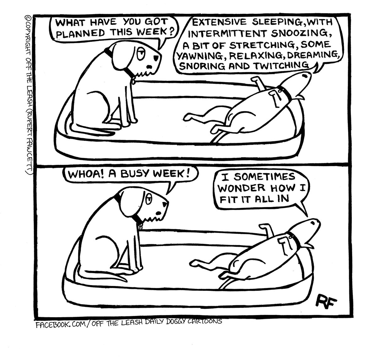 vetsmiths's tweet photo. Another busy week coming up?
Tweet us the action going on at yours and we'll RT to share the inspiration around ๐คฃ๐
#MoreThanJustVets #LookingAfterPetsDuringLockdown #HealthyPets #VeterinarianOfTwitter #TwitterVet #VetLife #Vetsmiths #ItsADogsLife https://t.co/U30JoH1GSb