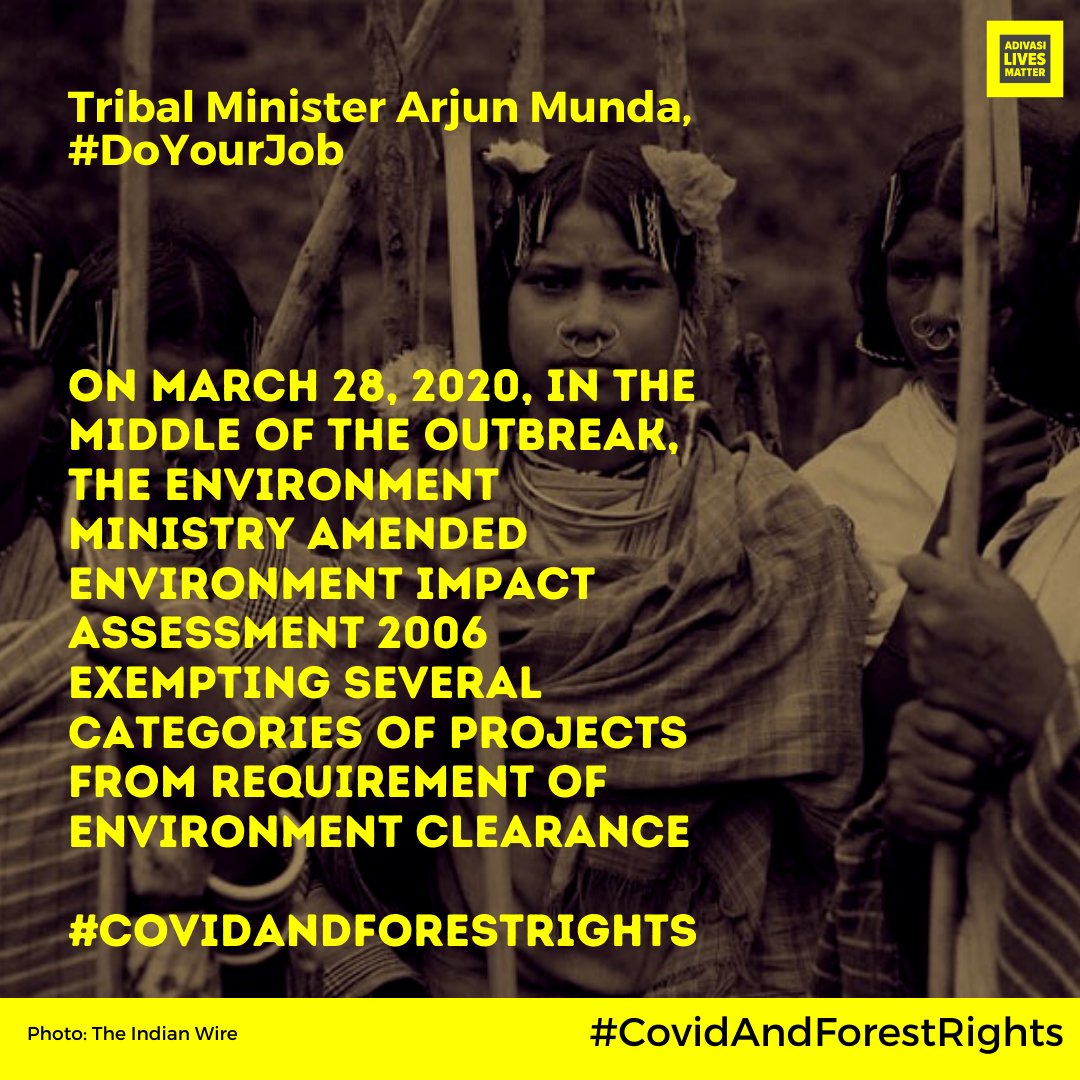 And  @moefcc and  @PrakashJavdekar continue their decimation of everything that has a thin chance of protecting our environment and the relation of  #Adivasi and forest-dwelling communities with forests.  https://thewire.in/government/environment-impact-assessment #CovidAndForestrights  @ygirirao  @meeracomposes