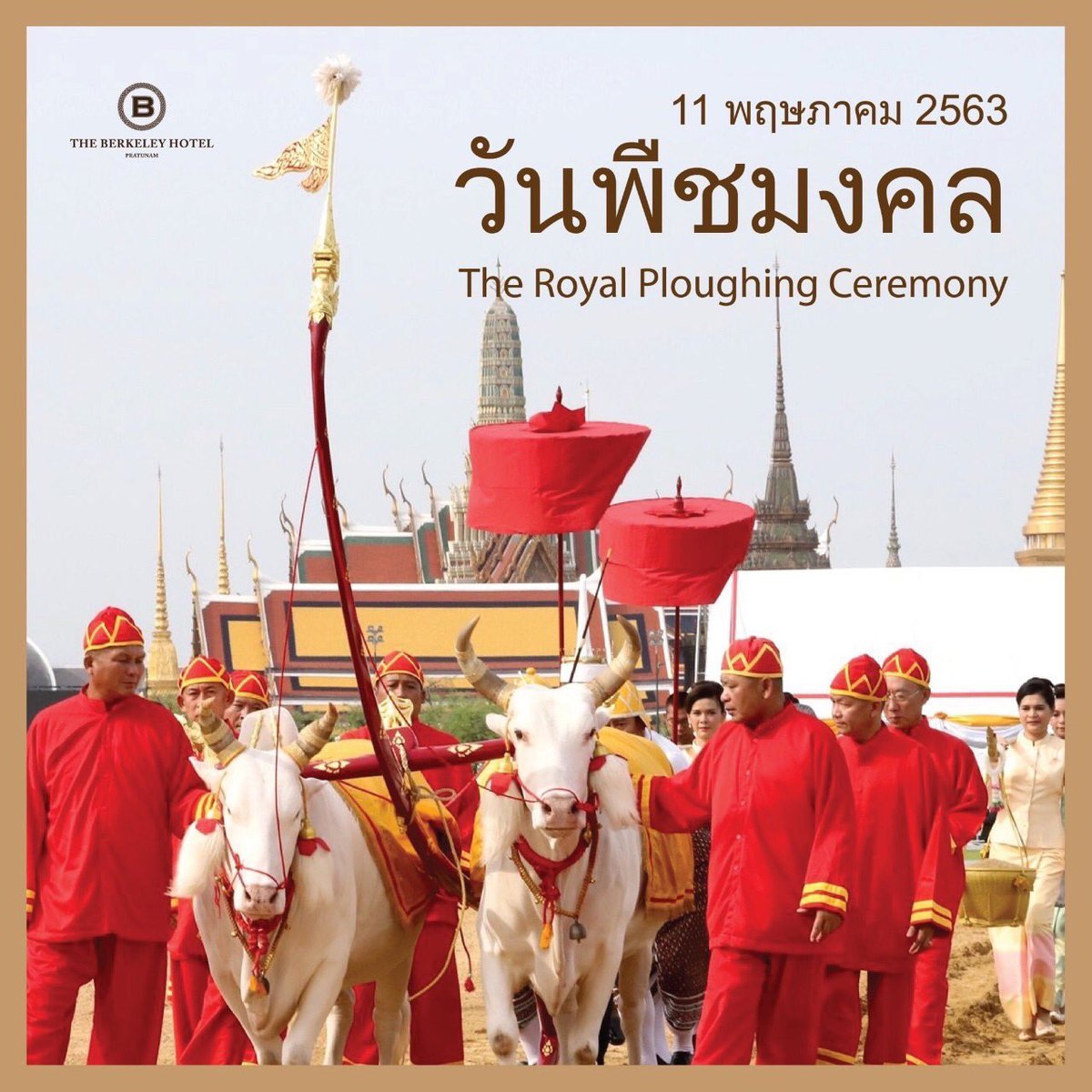 TheBerkeleyBKK's tweet photo. ในวันพืชมงคล🌾นี้จะมีพระราชพิธีประกอบด้วยพระราชพิธีพืชมงคล และพระราชพิธีจรดพระนังคัลแรกนาขวัญ เพื่อความเป็นสิริมงคล และสร้างขวัญกำลังใจแก่เกษตรกรไทยในการเพาะปลูกตลอดปี🌱🐓🎋

#วันพืชมงคล #11may #theroyalploughingceremony
#theberkeleyhotelpratunam #pratunamhotel #hotelbangkok https://t.co/hNvN8rRbpX