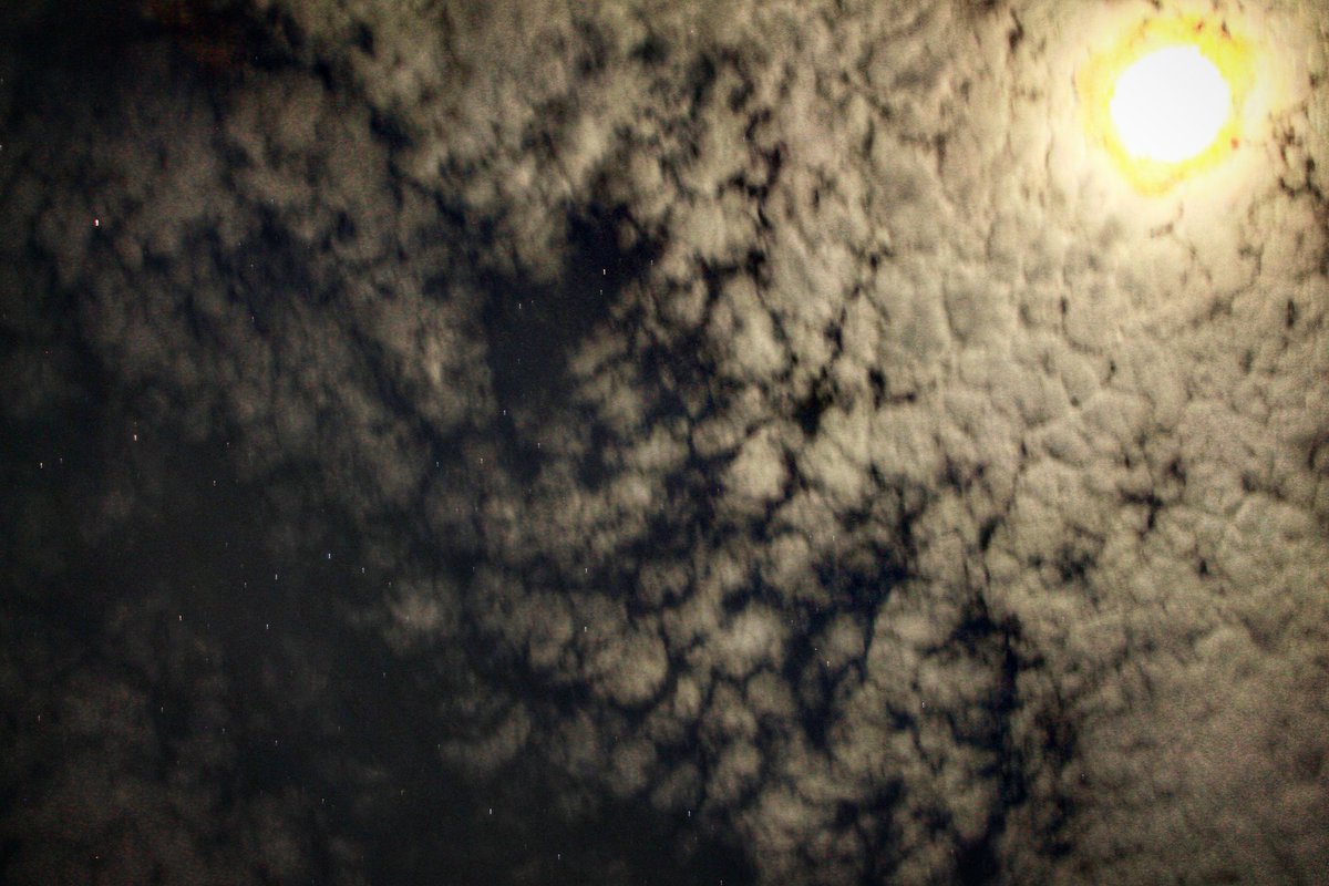 Mekuuu (@nac2x_whosthere) on Twitter photo 