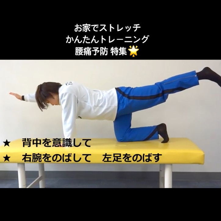 cito_tess's tweet photo. お家でストレッチかんたん
トレーニング腰痛予防特集★

腰痛の原因は腰回りの筋肉の衰えと
柔軟性の低下が1番の要因な���で
今回はストレッチのほかに
かんたんトレーニングも取り入れました💪🏻

ストレッチとトレーニングで
腰痛を予防しましょう！😊

↓動画はコチラ
https://t.co/cmaCZ0fFpj https://t.co/XYklvoxl75