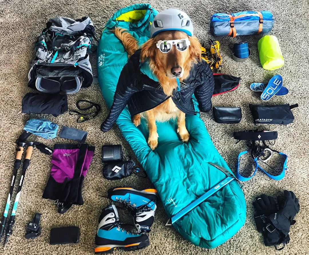 rab_equipment's tweet photo. Great entry by 'J the dog' into our #RabAtHome competition from Lindsey Deborah on IG. Going for the cute approach to try and win our 50L kitbag 🤙
Have you entered yet? Getting tagging us (using the hashtag) 😍 Competition runs until the end of May 2020.
#WeAreRab https://t.co/8SrqkTGKwF