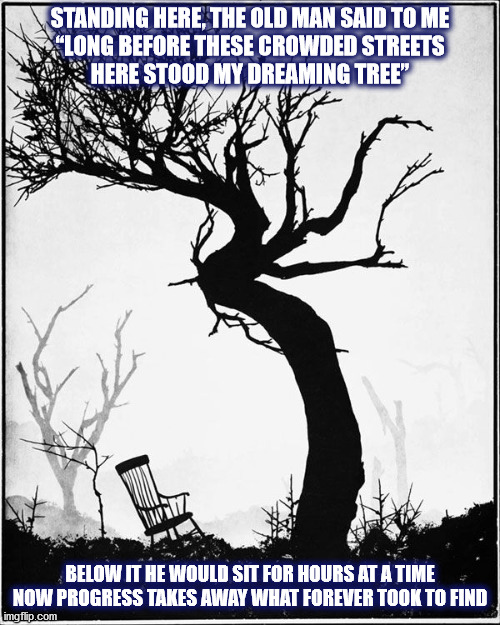 Nikton41's tweet photo. #DMB #DaveMatthews #DaveMatthewsBand #Tree #Streets #TheDreamingTree #Chair #Dave #FortyOne #Rain #Play #Frog #Run https://t.co/C6CabplvEy