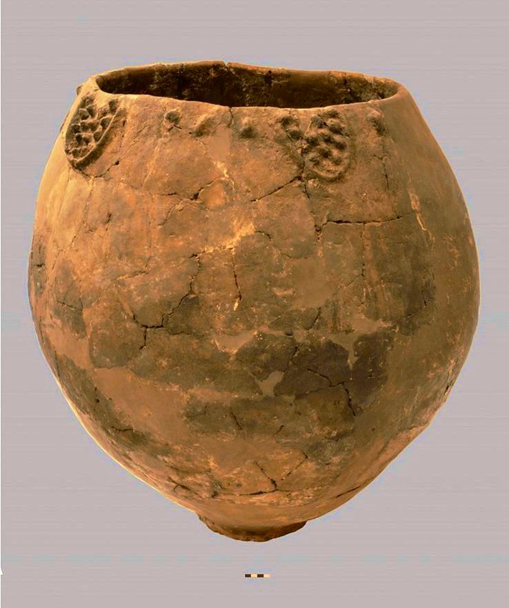 The origins of the vine, wine and fermented grapes remain hotly debated. We have evidence of grapes as far back as 20,000 BP in the Near East, but most evidence of fermented juice is Neolithic, like the residue inside this jar from Georgia
