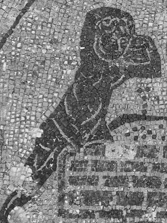 One of my favourites is this mosaic from Minturnae, with cherubs trampling and tipping grapes, clearly showing the relationship between treading floor and pithoi/dolia that we often find in the archaeology.