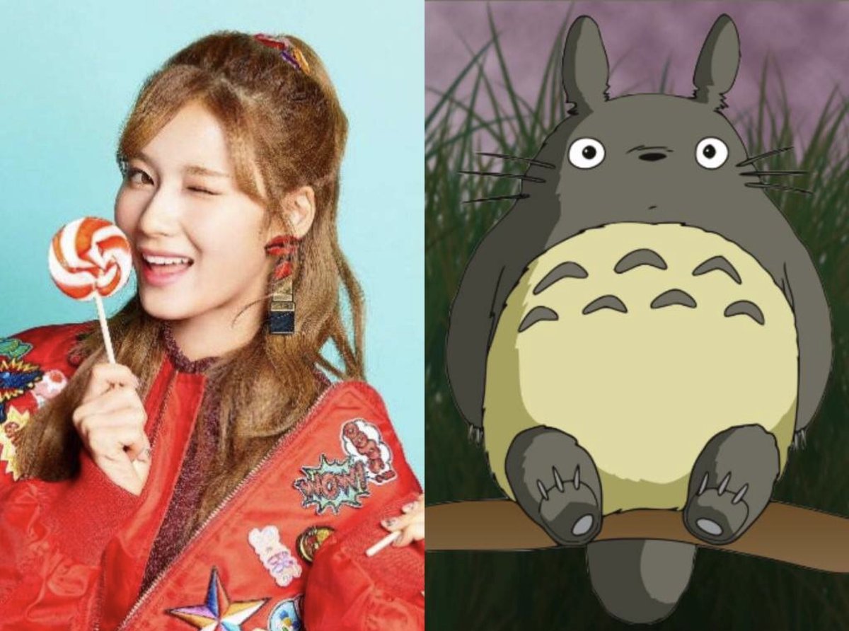 Sana as: My Neighbor TotoroWell, isn't it obvious?  Sana and Totoro are known for their cheerful personalities and heartwarming smiles. What's more to tell? Also, they're very adorable and cute!