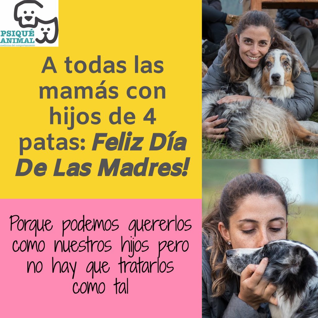 PsiqueAnimal's tweet photo. Feliz Día de las Madres #FelizDiaMama #perrhijos #diadelasmadres #hijosdecuatropatas https://t.co/oou96v3n1P
