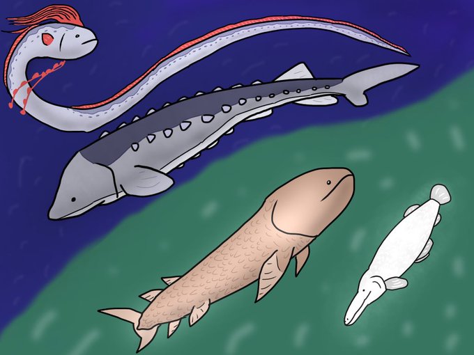 魚イラストのtwitterイラスト検索結果 魚イラストのtwitterイラスト検索結果
