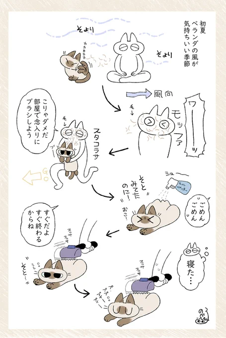ブラシされると眠たくなっちゃう(かわいい) #シャム猫あずきさんは世界の中心 