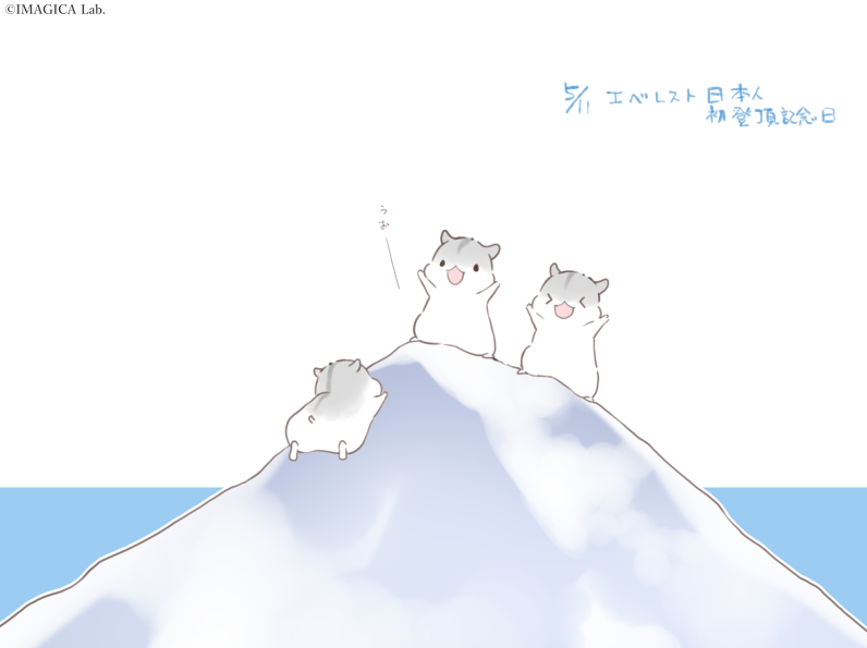 あわはむ@合わせハムハム公式 tweet media