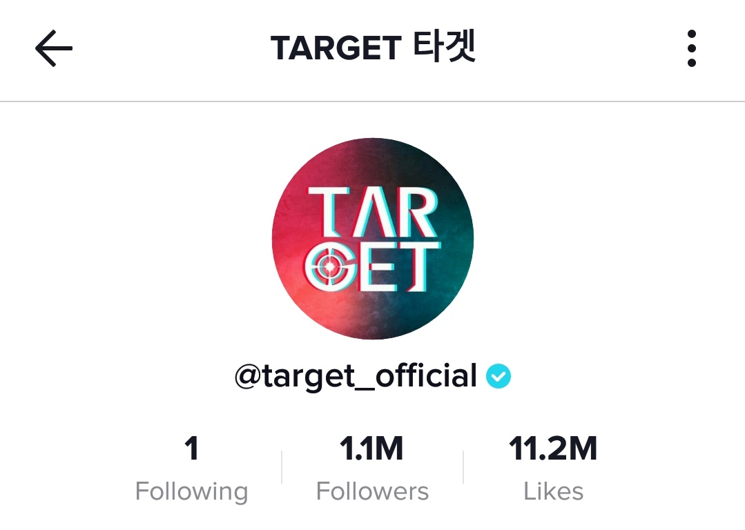 the Target one hits different. they have 1M on tiktok, wheres the energy on their MVs