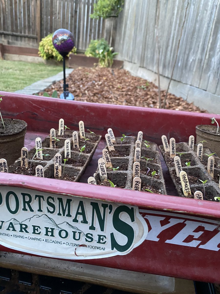 Bryan Bickel tweet media