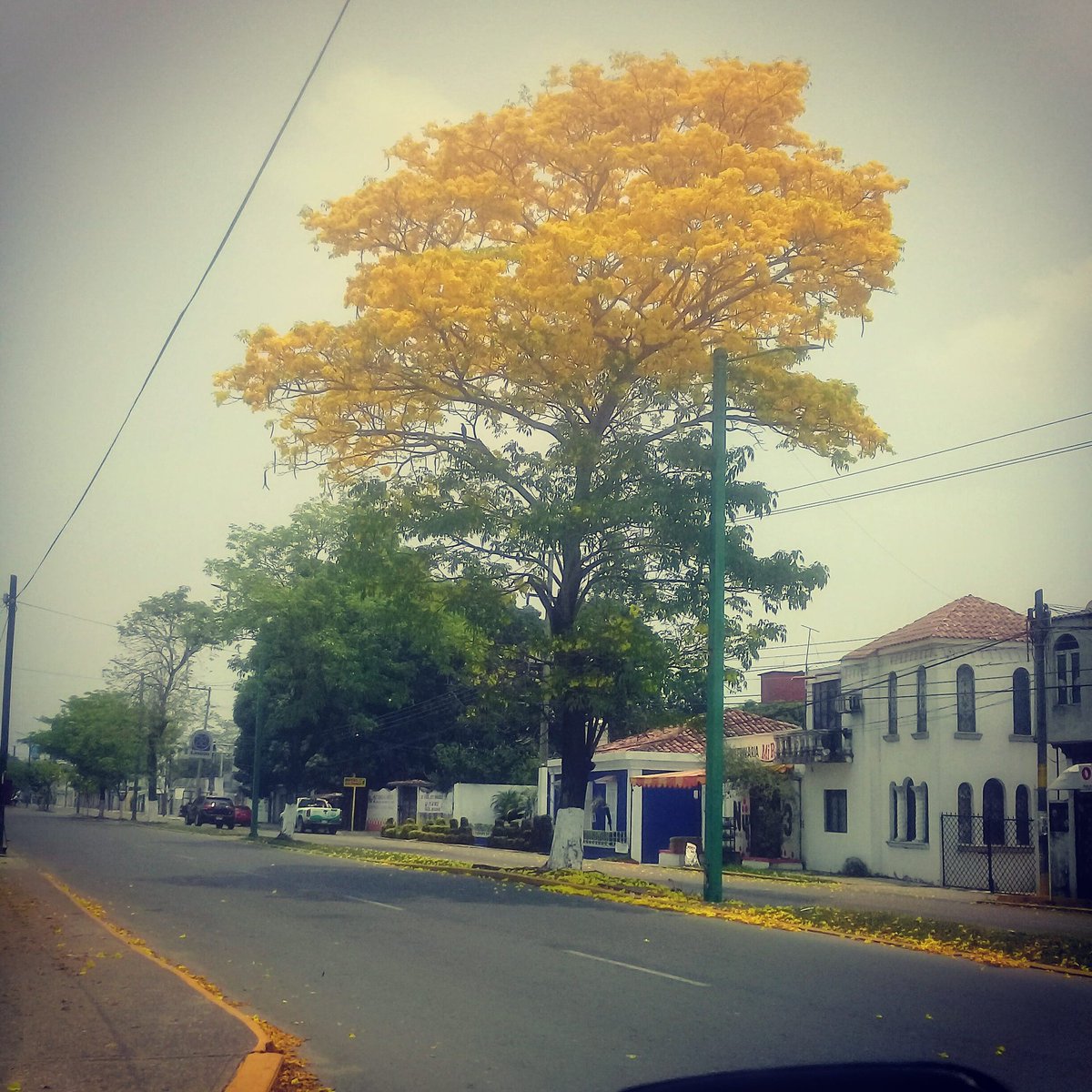 jesuspalomera's tweet photo. #comalcalco #Tabasco #Mexico https://t.co/jWsH7M7dV4