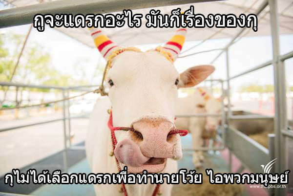 TANNY เป็นสนามอารมณ์ของทุกคน tweet media