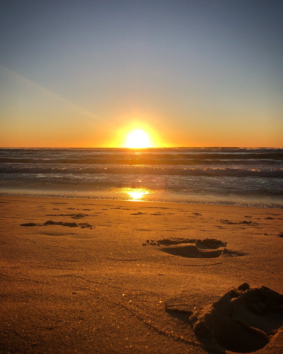 imjustnora's tweet photo. Nothing like a view of the #sunrise while this #peakerforlife is holding a #forearmplank position for todayโs @MyPeakChallenge #mpc2020 #workout on the @cityofgoldcoast beach ๐
#grateful #thankful #lovelife #lifeisgood #lifeisbeautiful #anythingispossible #10000steps #dailywalk https://t.co/GRkqeJT3CF