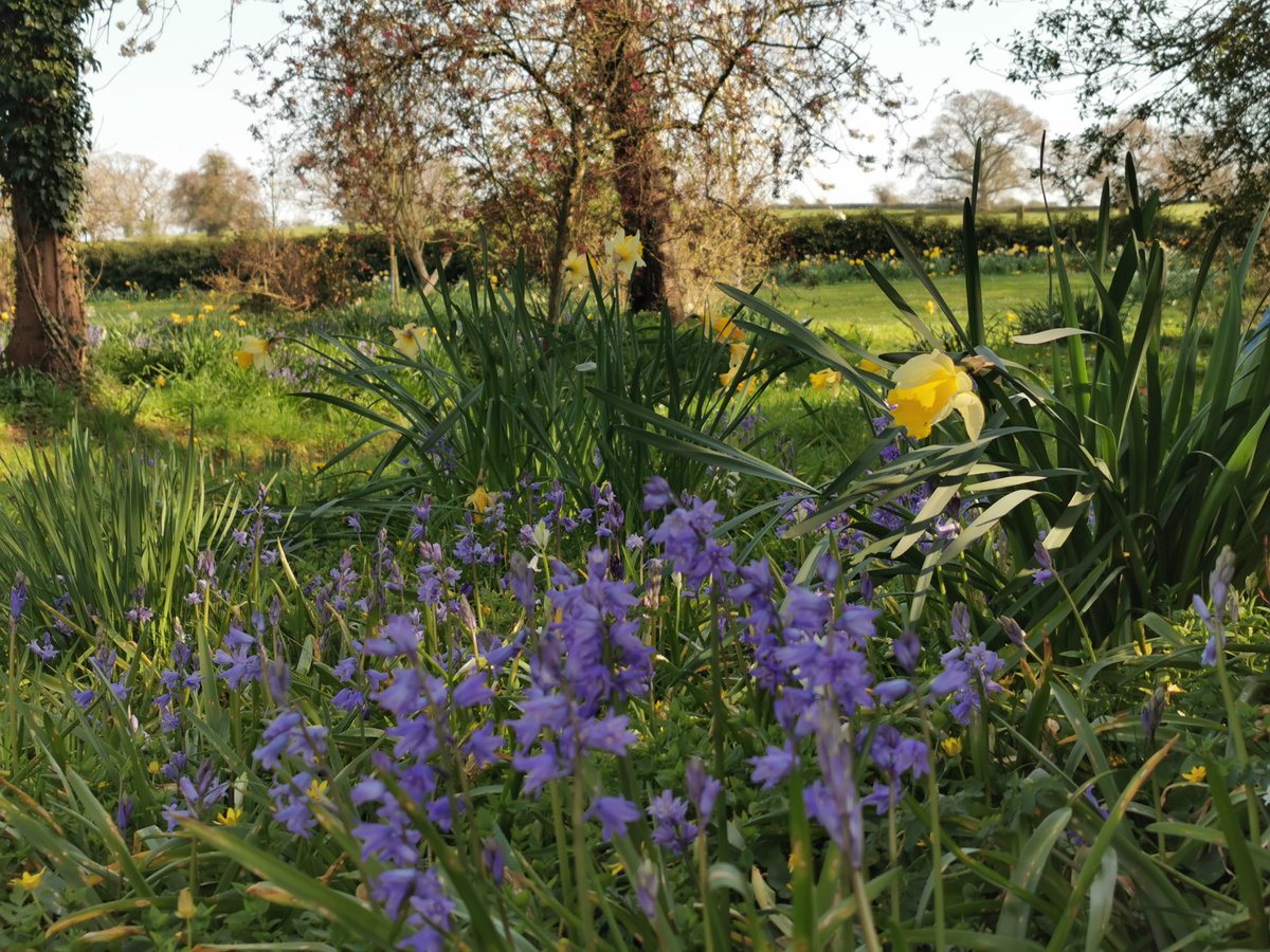 sqrootsofficial's tweet photo. Flowers from our garden to brighten up Mother's Day yesterday. #squarerootsfurniture #mothersday #gardenbythestudio #flowerstagram #spring https://t.co/FhiBwqfKYU