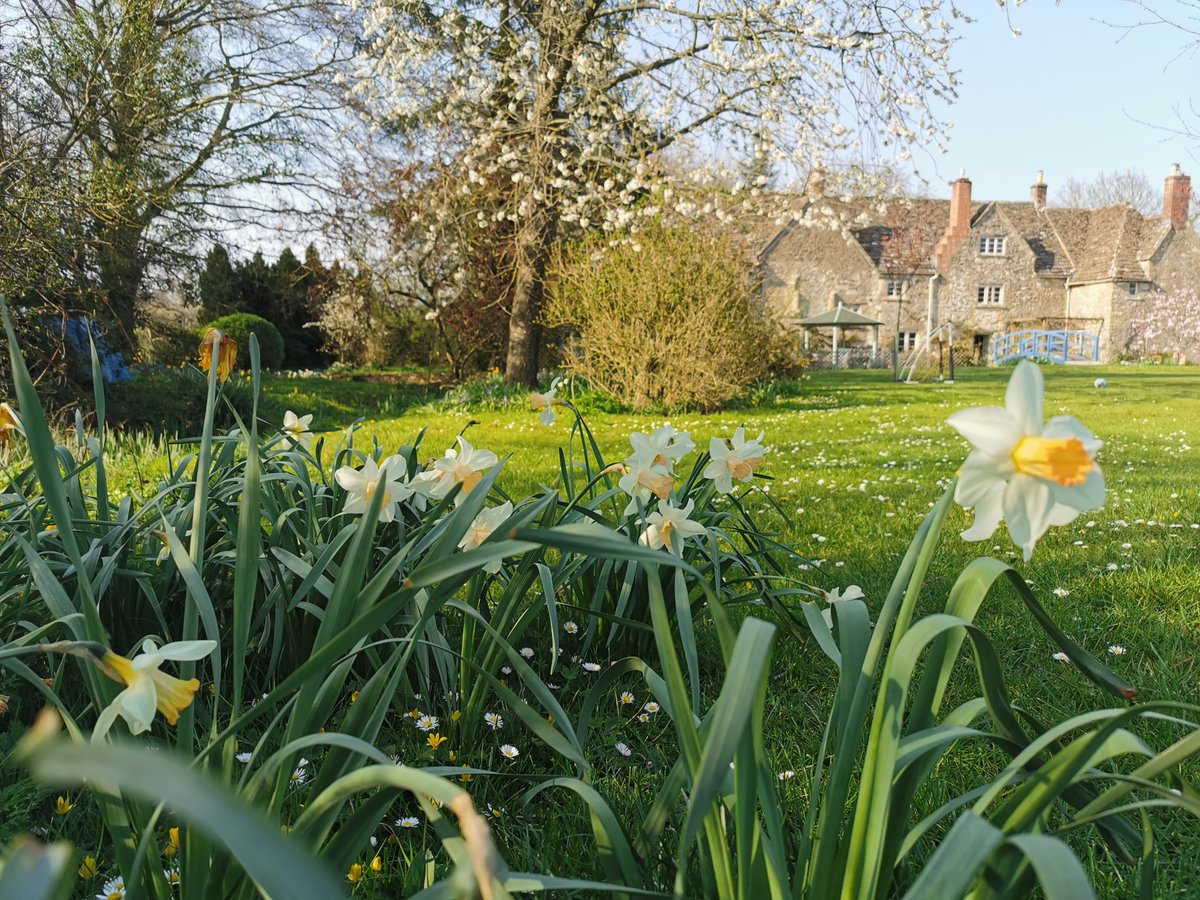sqrootsofficial's tweet photo. Flowers from our garden to brighten up Mother's Day yesterday. #squarerootsfurniture #mothersday #gardenbythestudio #flowerstagram #spring https://t.co/FhiBwqfKYU