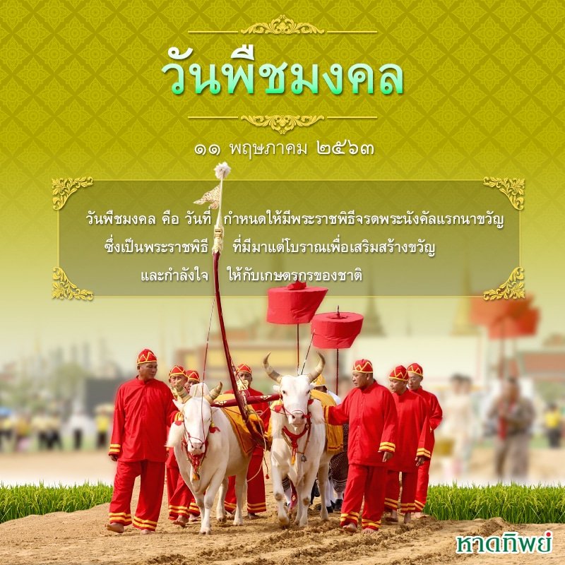 Coke Haadthip tweet media
