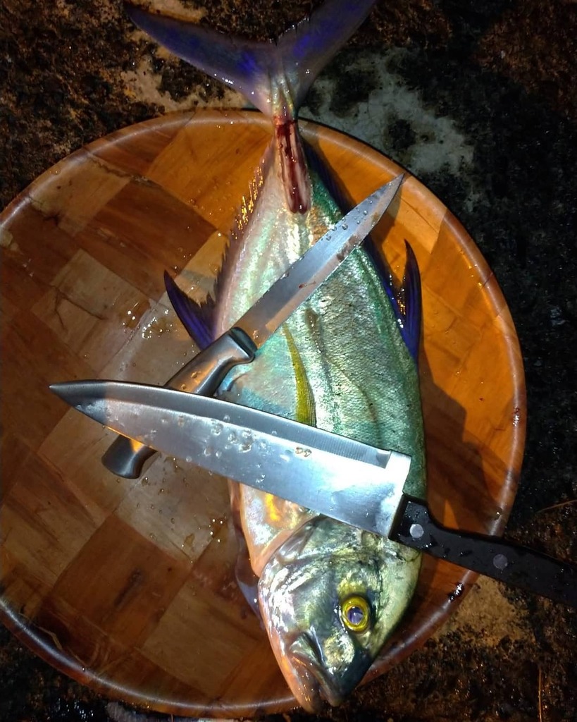 thinkrai's tweet image. 🐟 Miam #fishing #carangue #tahitihttps://instagr.am/p/CACIQSkgJM_/