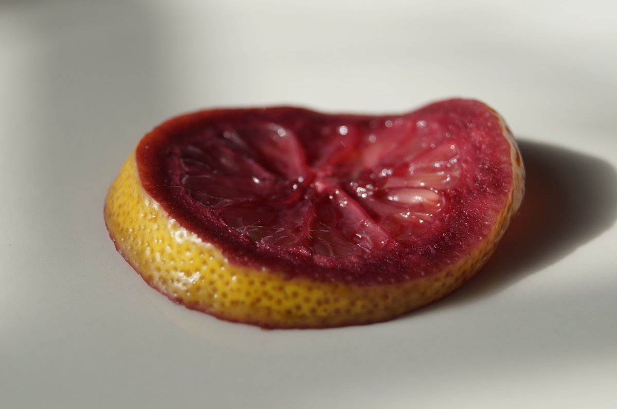 bomiparked's tweet photo. Thought this is more of of a Twitter material than a FB post. Made Sangria this weekend and I'm just obsessed with this slice of wine-soaked lemon. Had to have a photo shoot with it, obviously. Which is your favorite (and why)? #pleasevote #Imgoingbananas #goodgodlemon #thread https://t.co/rbuTvdeou5