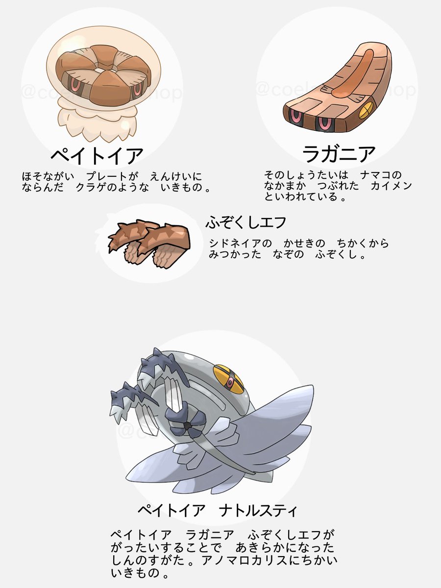 これはポケットモンスターですか?
いいえ、カンブリアモンスターです。
#海のいきもの #古生物 