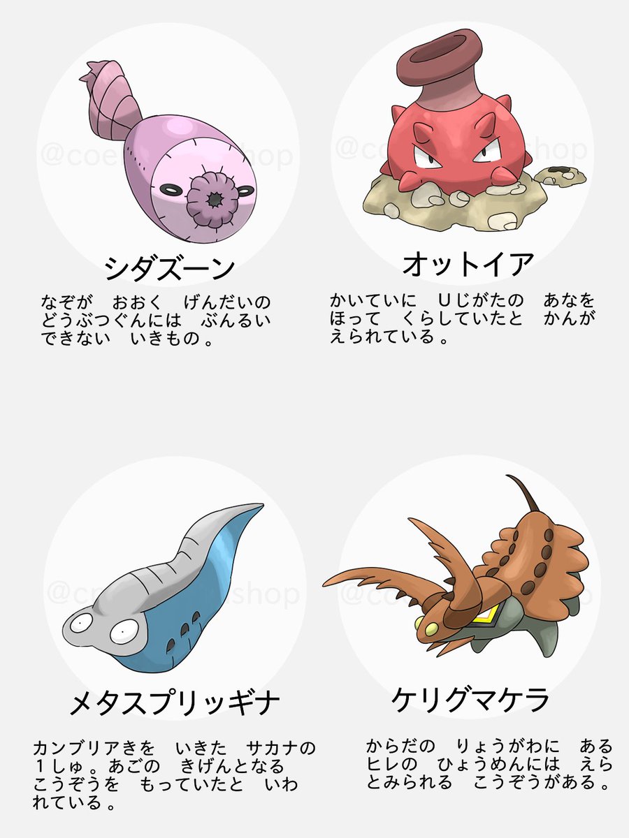 これはポケットモンスターですか?
いいえ、カンブリアモンスターです。
#海のいきもの #古生物 